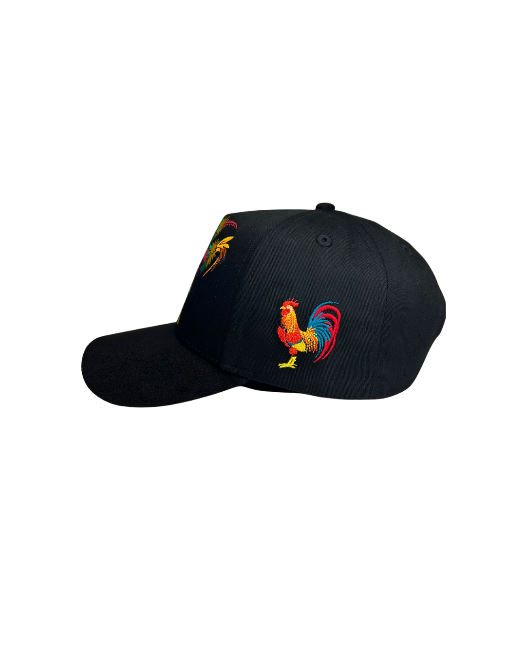 Gorras de Todos Santos C.